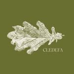 cledefa.atelier 프로필 사진