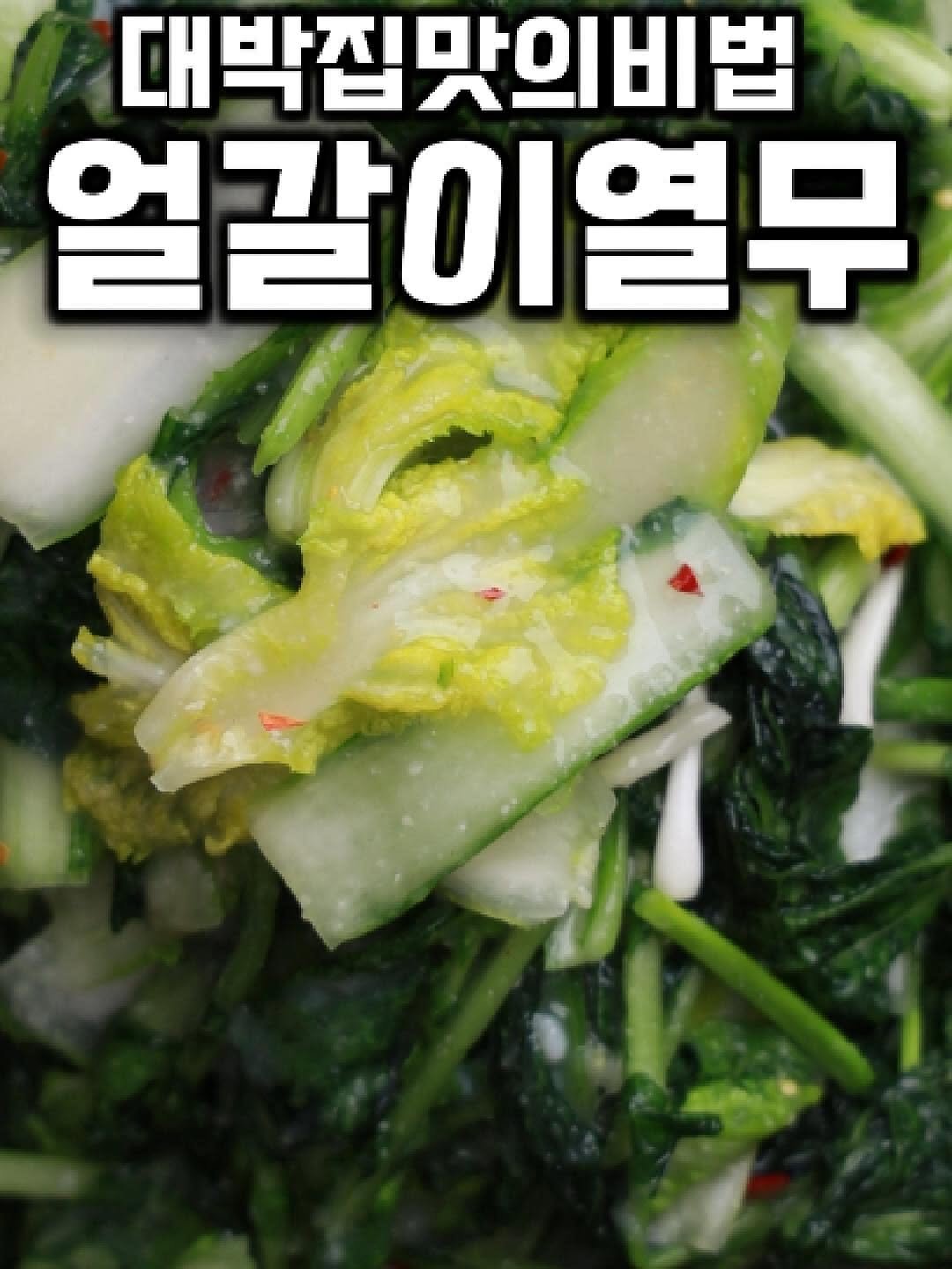 tongkicook 게시물 이미지: 대박집맛의비법 얼갈이백김치 #1분요리왕통키