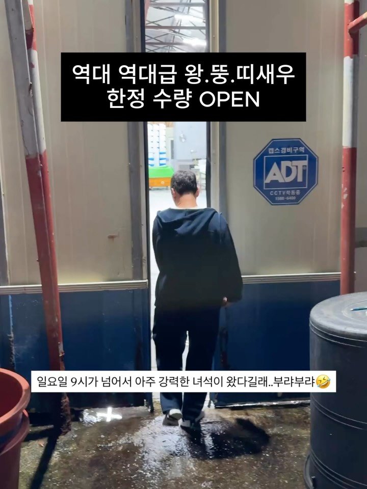 tongsusan_ceo 게시물 이미지: 🚨진짜x100 왕큰 왕.뚱.띠새우 한정 수량 오픈🚨

뚱띠보다 더 큰 무려...