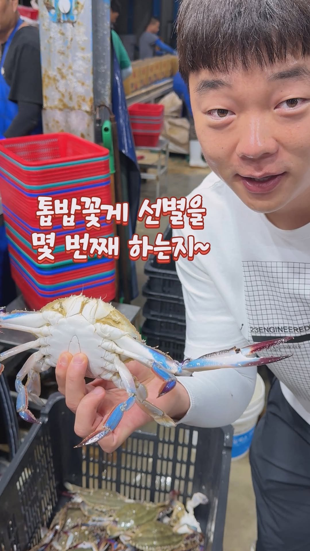 tongsusan_ceo 게시물 이미지: ✨오직 통수산만을 위한 톱밥 꽃게🦀

📢추석 전에 꽃게 드실 분들은 지금 바로...