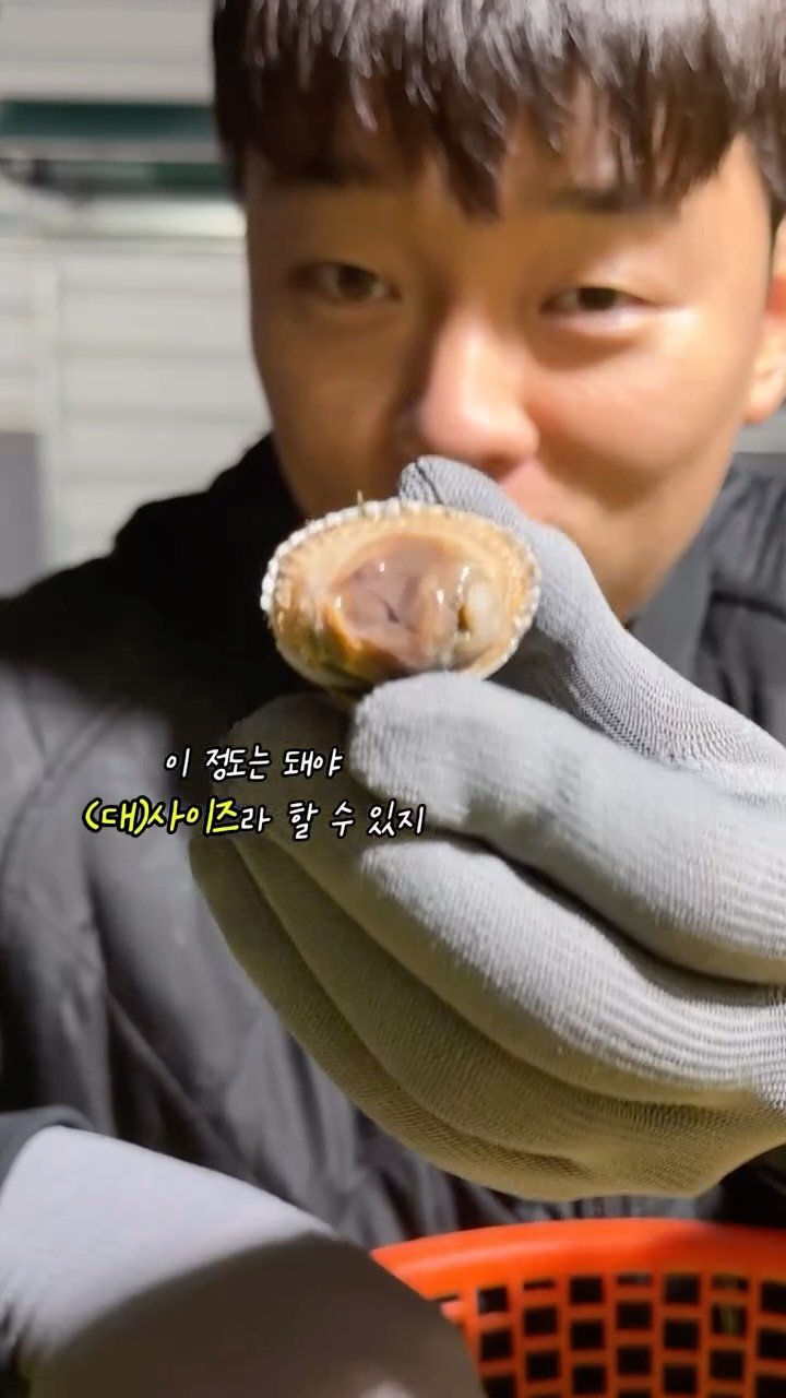 tongsusan_ceo 게시물 이미지: ‼️내일, 12월 26일(금) 오후 3시 새꼬막 오픈‼️

꼬막 살이 너무 좋아서...