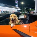 ohmpawat 프로필 사진