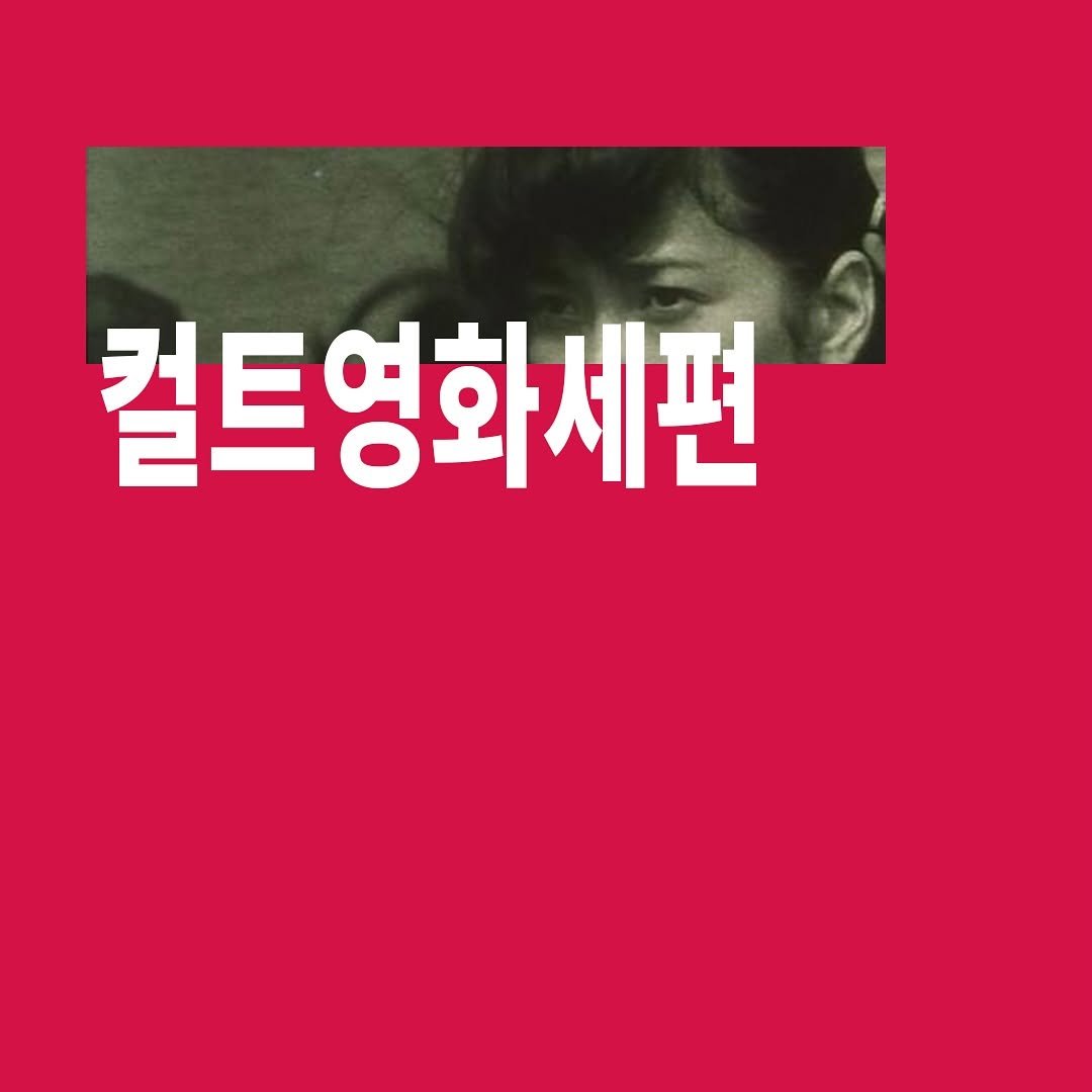 Photo by 탑스터 on September 10, 2025. May be an image of 1 person and text that says '컬트영화세편'.