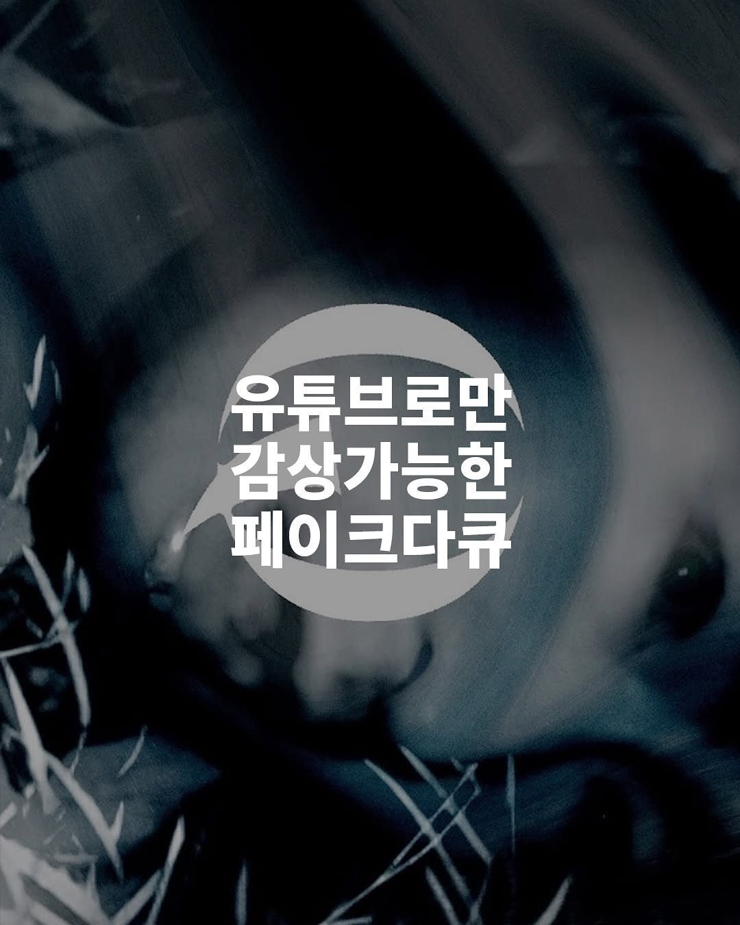 Photo by 탑스터 on September 28, 2025. May be an image of poster and text that says '유튜브로만 감상가능한 페이크다큐'.