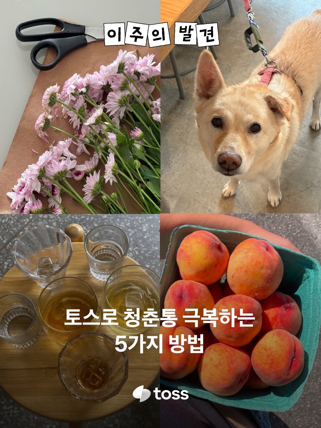toss.im 게시물 이미지: ’혹시 나도…?‘
청춘의 시기를 즐기지 못하는 상태를 ’청춘통‘이라고 한대요....