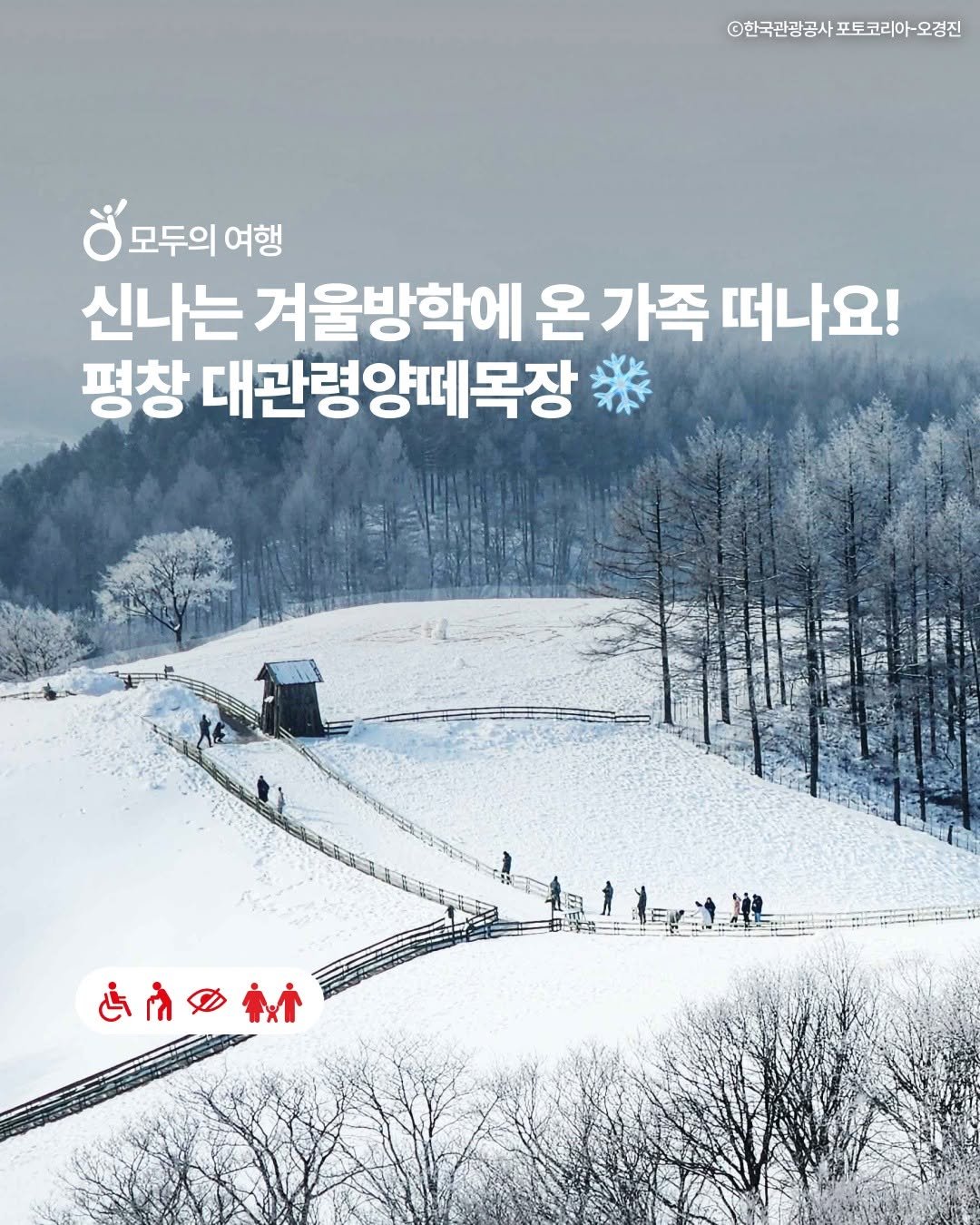 Photo by 한국관광공사 열린관광 (모두를 위한 여행) on January 20, 2026. May be an image of outdoors and text that says 'O한국관광공사포토코리아-오경진 ©한국관광공사포토코리아-오경 한국관광공사 모두의여행 모두의 여행 신나는 겨울방학에 온 가족 떠나요! 평창 대관령양떼목장 હमे ቱ'.