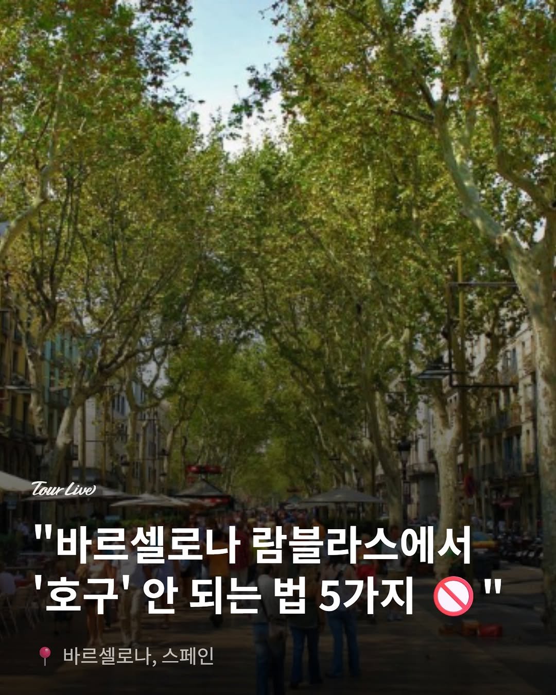 tourlive.insta 게시물 이미지: 바르셀로나 필수 코스 람블라스 거리! ✨
하지만 아무 정보 없이 갔다간 나도 모르게...