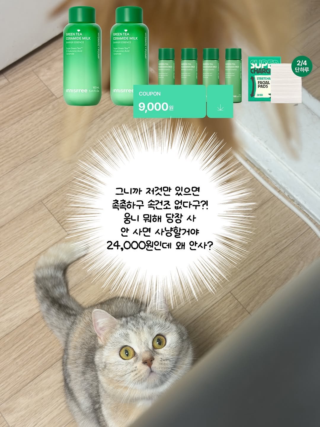 Photo by 톡신 Toxin on February 04, 2026. May be an image of kitten, Norwich terrier, Abyssinian cat, Persian cat and text that says 'CDAMDEMI LK CERAMIDEMILK จกสัอาคาณิลร์ Aaal innisfree 4IFLO InnisFret SUPER214 SUP SUPER 2/4 단하루 COUPON 9,000원 6ЛETCHA PADS PADS 30BA 그니까 저것만 있으면 촉촉하구 속건조 없다구?! 웅니 뭐해 당장 사 안 사연 사냥할거야 24,000원인데 왜 안사?'.