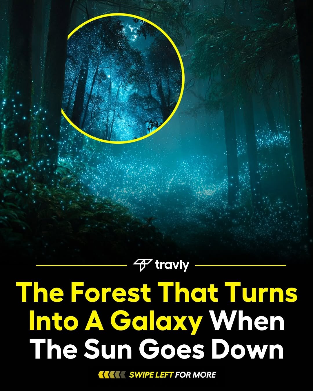 Photo by Travel by Travly ™ on November 09, 2025. May be a cartoon of poster and text that says 'travly The Forest That Turns Into A Galaxy When The Sun Goes Down « SWIPE LEFT FOR MORE'.