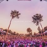 festivalskorea_ 프로필 사진