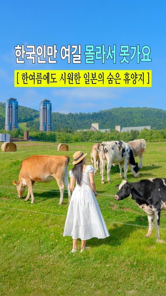 travel_jo2 게시물 이미지: 이번주 최고 기온 20도, 일본에 이런 곳이 있다고? 🌿
몰라서 못 가는 일본의...
