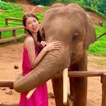 travel_sining 인스타그램 프로필 사진