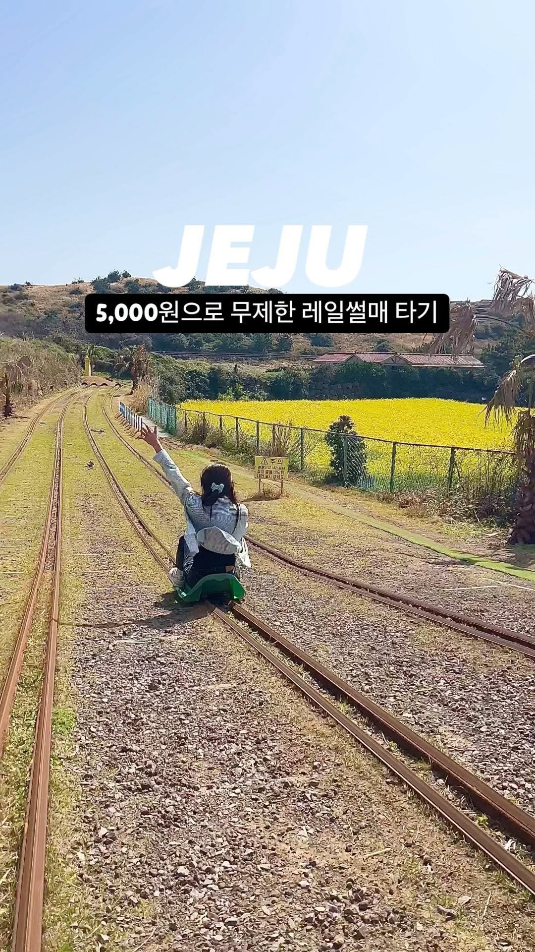 travel_sining 게시물 이미지: 5,000원의 행복!무제한 레일썰매 달려달려💚

노랑노랑 유채꽃 옆, 봄을 느끼며...