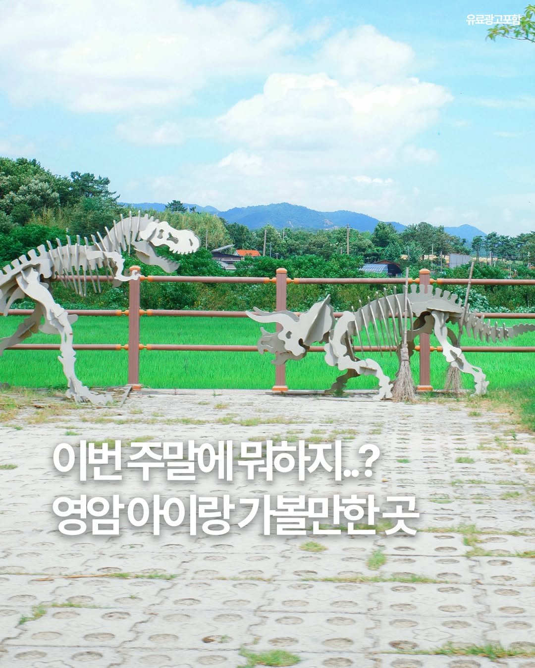 Photo by 여행 다녀왔습니다 on August 14, 2025. May be an image of text that says '유료광고포함 جع 快: NSIS F 이번주말에뭐하지 이번주말에 뭐하지..? 영암아이랑가볼만한곳'.