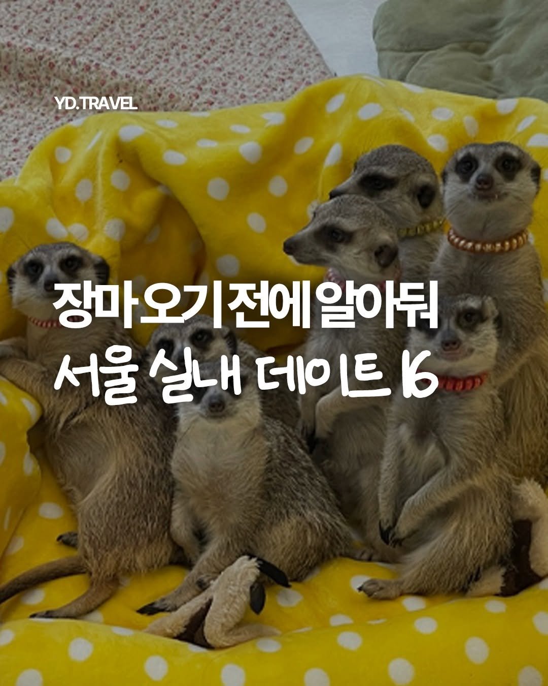 travelmenu1 게시물 이미지: ☔ 곧 다가올 장마철 대비하려면 일단 저장!

더위도 피하고 비도 피하는
서울 실내...