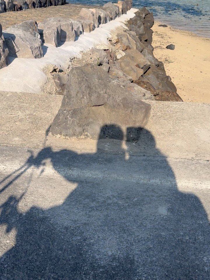 travelsearch_insta 게시물 이미지: 제주도에서 드라이브할 사람〰️🙋‍♀️
