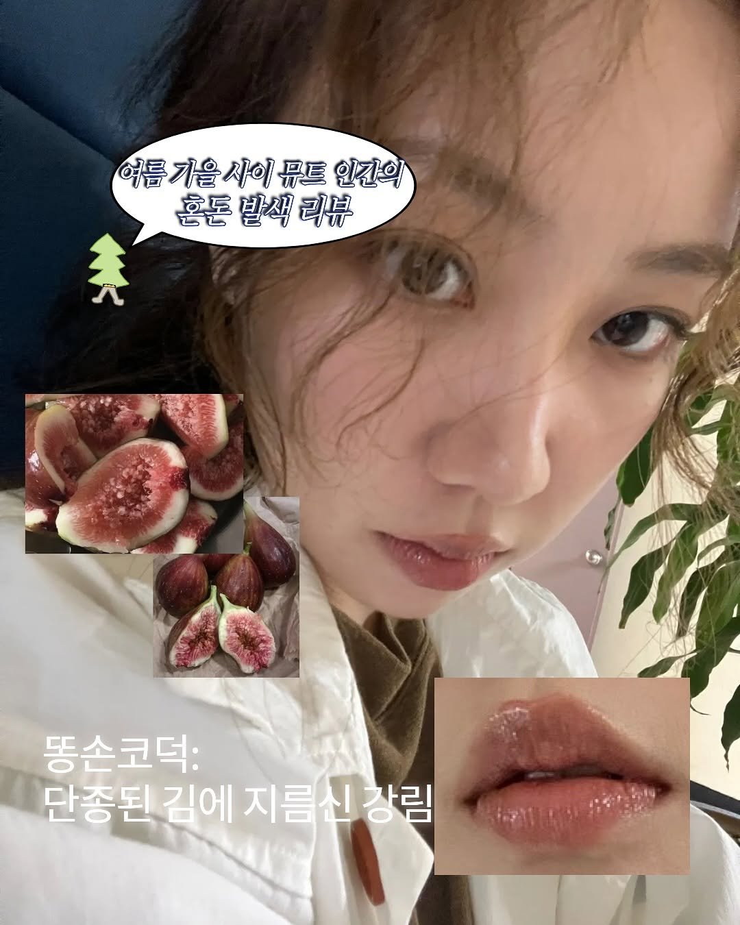 Photo by TREND READER 트리 on November 07, 2025. May be an image of fig, pie and text that says '여름기을사이뮤트인간의 사이 哥 인긴의 혼돈 발색 혼돈발색리뷰 리뷰 똥손코덕: 단종된 김에 단총된김에지름신장림 지름 강림 지름신장림'.