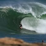 trekomias 인스타그램 프로필 사진