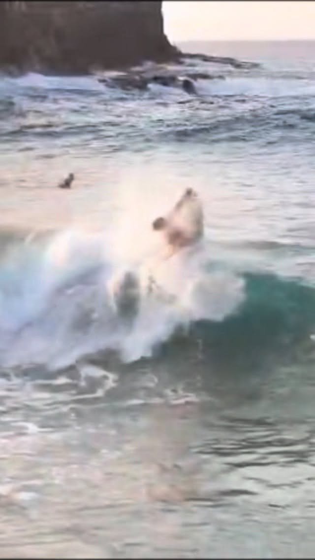 trekomias 게시물 이미지: Mandei meu el rolo com a prancha do @nissinmc...