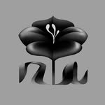 noyahjung 프로필 사진