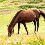 jeju.mentto 프로필 사진