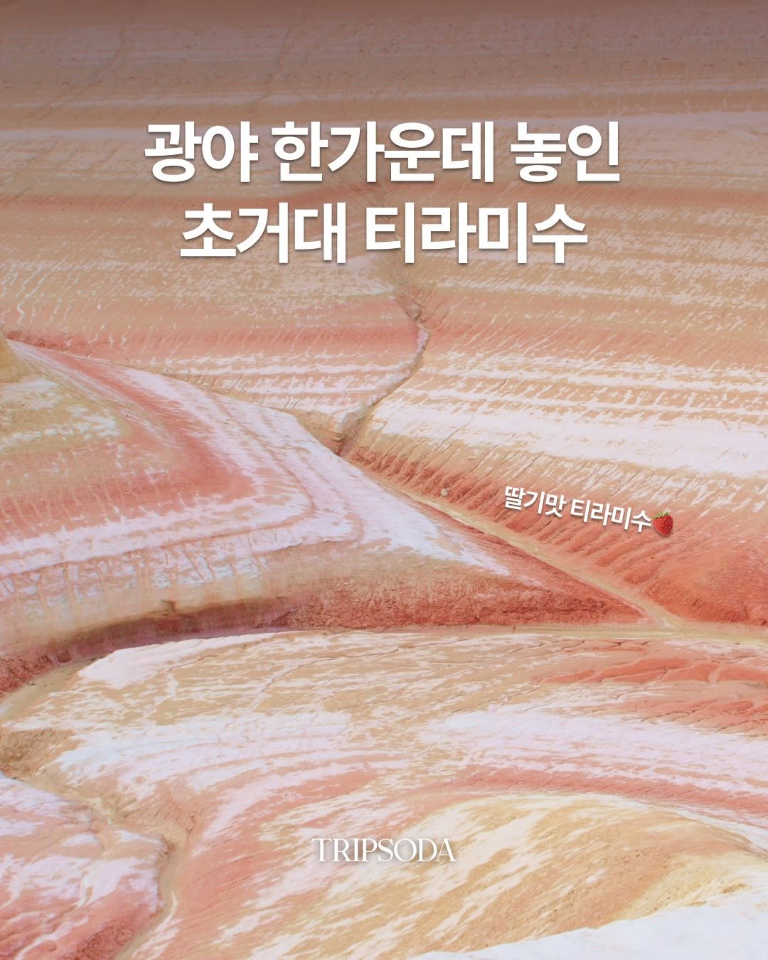 tripsoda_official 게시물 이미지: 아는 사람만 가는 카자흐 티라미수 맛집
망기스타우의 ‘키질쿱‘🍰

알마티에서...