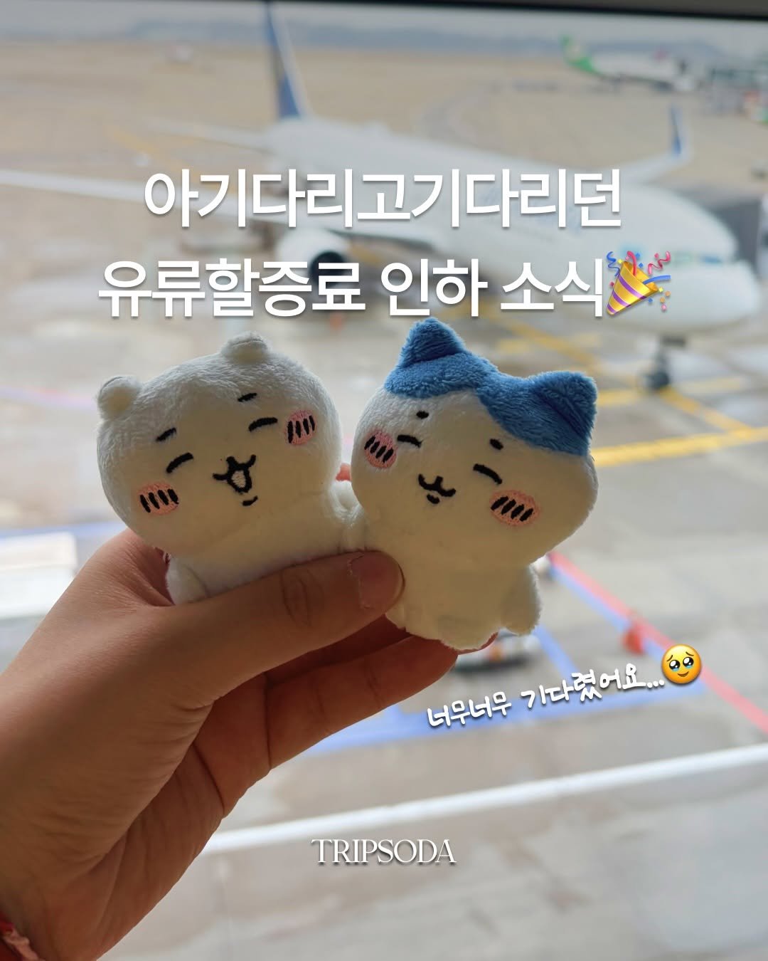 tripsoda_official 게시물 이미지: 여러분 됐어요. 됐다구요!!! 항 공 유 가 격 인 하 됐 어 요...