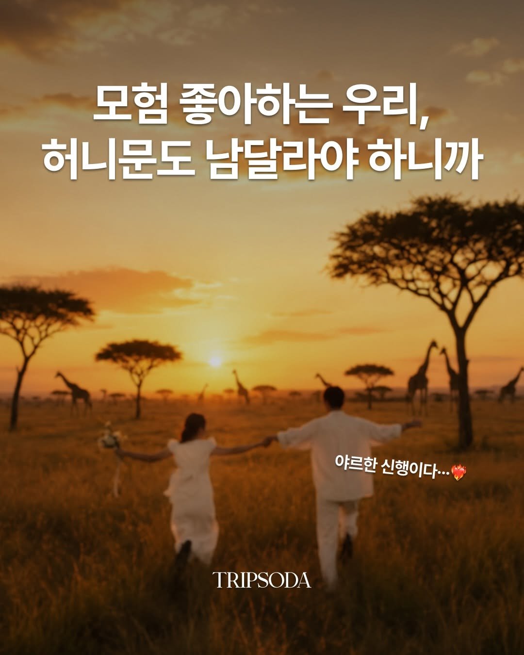 tripsoda_official 게시물 이미지: 야르한 신혼여행지 찾아? 그럼 여기야❤️‍🔥
📍탄자니아

🦁 야생동물을 눈앞에서...