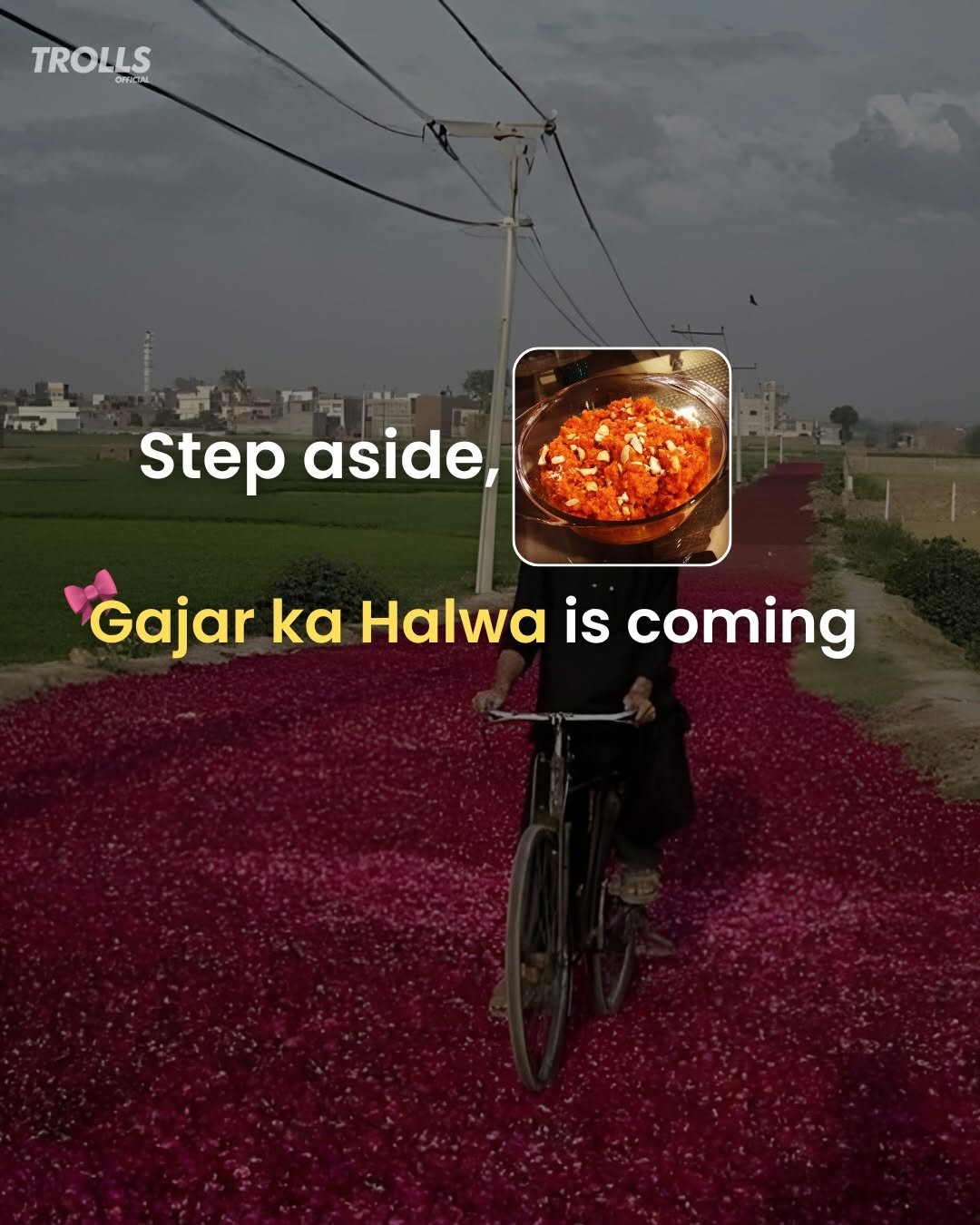 Photo by Trolls Official on November 20, 2025. May be a meme of poster, outdoors and text that says 'TROLLS ORICIAL ORICTIAL Tàc 반 Step aside, Gajar ka Halwa is coming'.