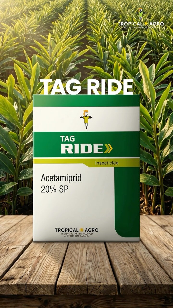 tropicalagrosys 게시물 이미지: Sucking pests attack soft crop parts and...