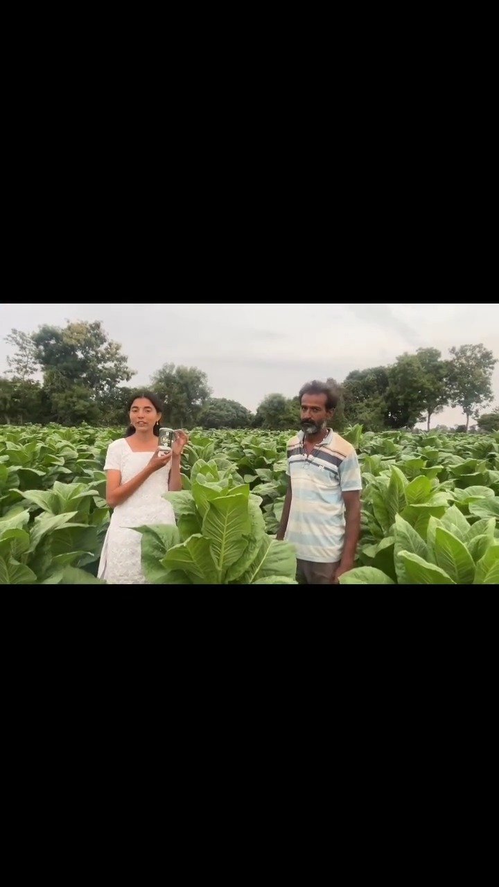 tropicalagrosys 게시물 이미지: From the fields of Mysuru, Karnataka 🌱

Hear...