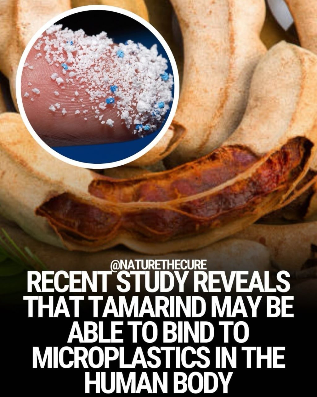 truthful_health 게시물 이미지: Your body is exposed to toxins every single...