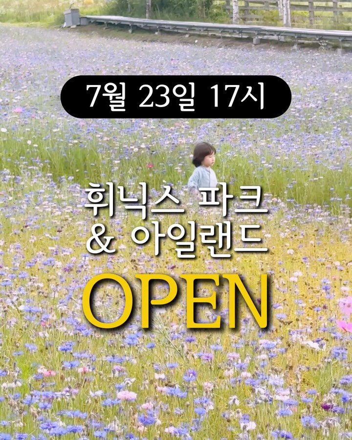 ttasa_roi 게시물 이미지: 📍오늘(7/23) 15시 [휘닉스 파크 & 아일랜드] 상품이 오픈 됩니다

📍[예약...