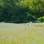 lemong.kaka 프로필 사진