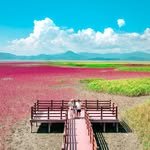 papa__moooon 프로필 사진