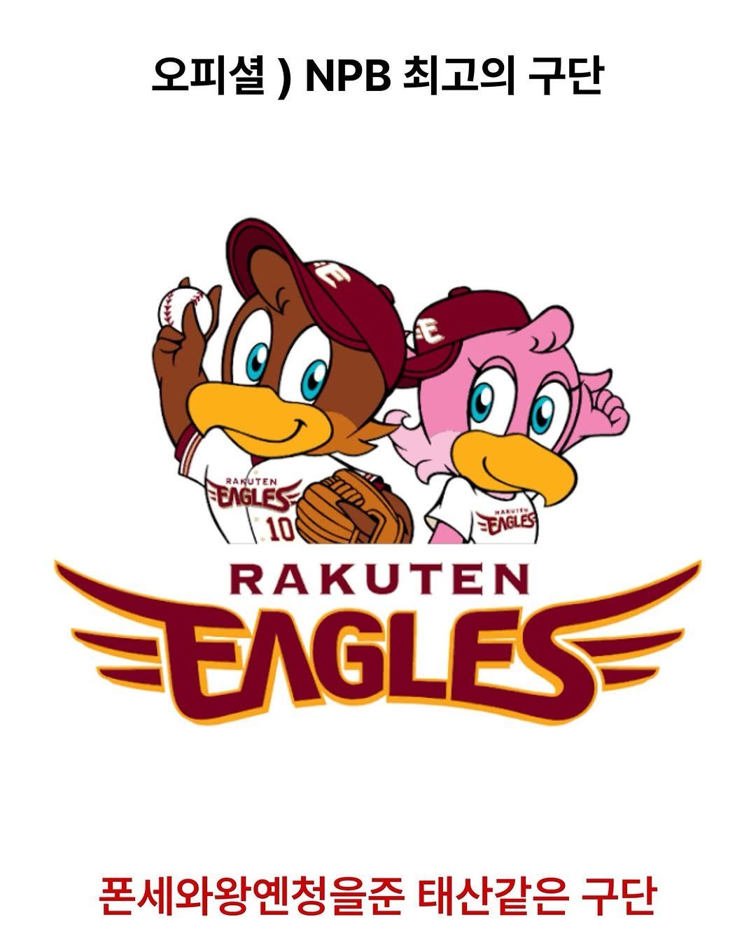 tteolgong_sam 게시물 이미지: NPB 최고의 구단

#한화이글스 #야구 #kbo #유머 #공감