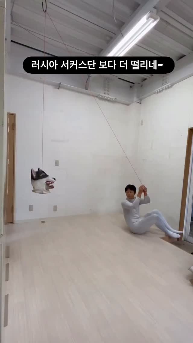 ttok_tv 게시물 이미지: 서커스단 보다 더 떨리는 순간 #ㅋㅋㅋ #웃긴짤 #유머 #reels #memes