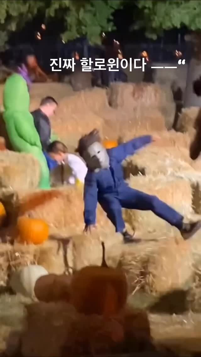 ttok_tv 게시물 이미지: 이것이야말로 진정한 할로윈이다 ㅋ #ㅋㅋㅋ #웃긴짤 #유머 #reels #memes...