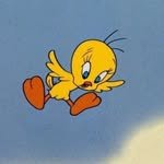 gonigoniworld 프로필 사진