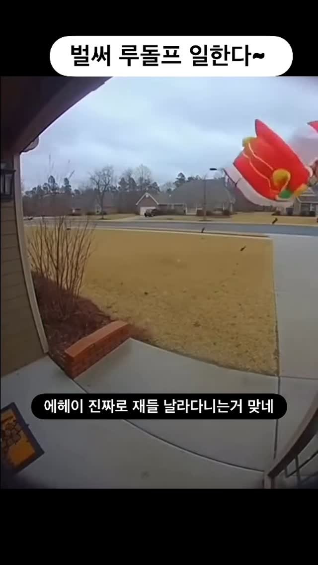 ttok_tv 게시물 이미지: 누가 루돌프랑 산타 없다켓노? 봐라봐~ 날라 다니자나 #ㅋㅋㅋ #웃긴짤 #유머...