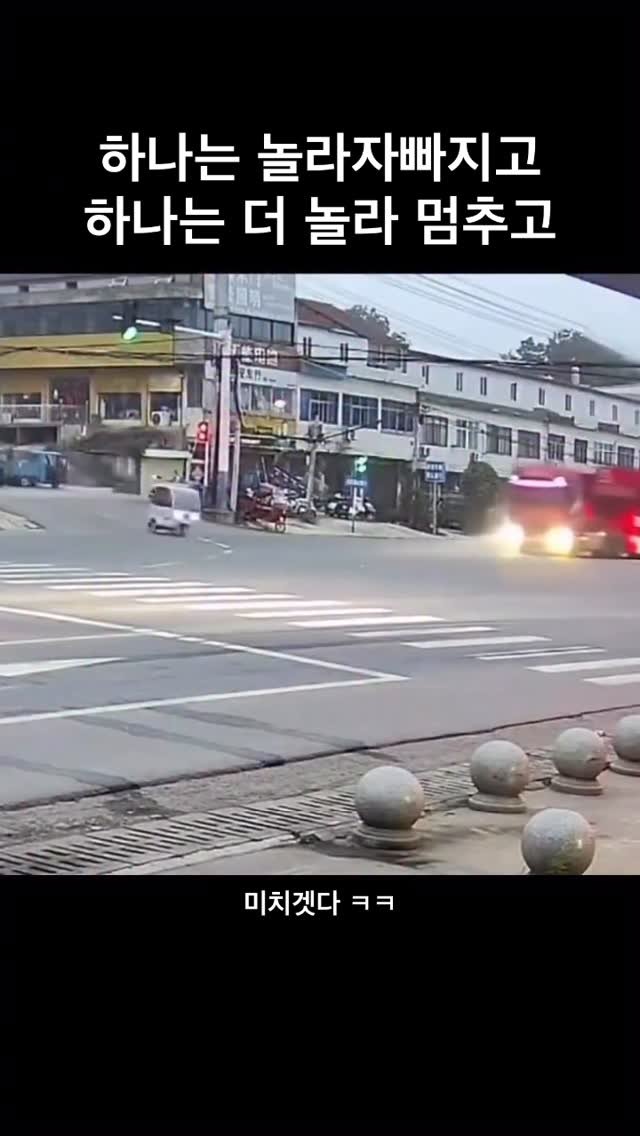 ttok_tv 게시물 이미지: 사고직전 놀라 자빠진 뽈뽈이?? 소리에 놀라 자빠지네 #ㅋㅋㅋ #웃긴짤 #유머...