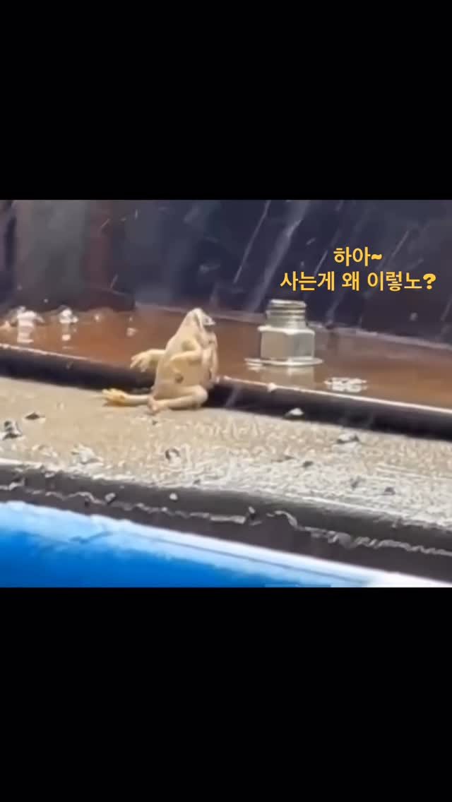 ttok_tv 게시물 이미지: 사는게 왜 이렇노? 넘 디다 디~ #ㅋㅋㅋ #웃긴짤 #유머 #reels #memes