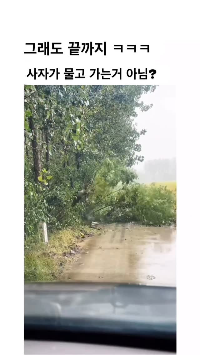 ttok_tv 게시물 이미지: 그래도 끝까지 ㅋㅋ #ㅋㅋㅋ #웃긴짤 #유머 #reels #memes #humor #몸개그 #