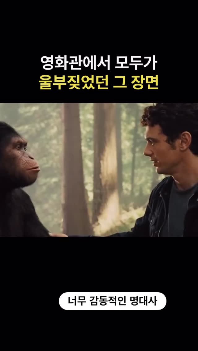 ttok_tv 게시물 이미지: 영화관에서 모두가 슴죽여 봤던 명장면 #영화 #혹성탈출 #ㅋㅋㅋ #웃긴짤 #유머...