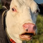 s.dal9478 프로필 사진