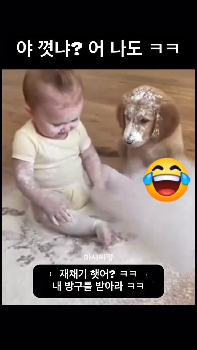 ttok_tv 게시물 이미지: 재채기 햇어? 짜식이 내 뱅구를 받아랏 ㅋ #ㅋㅋㅋ #웃긴짤 #유머 #memes #humor