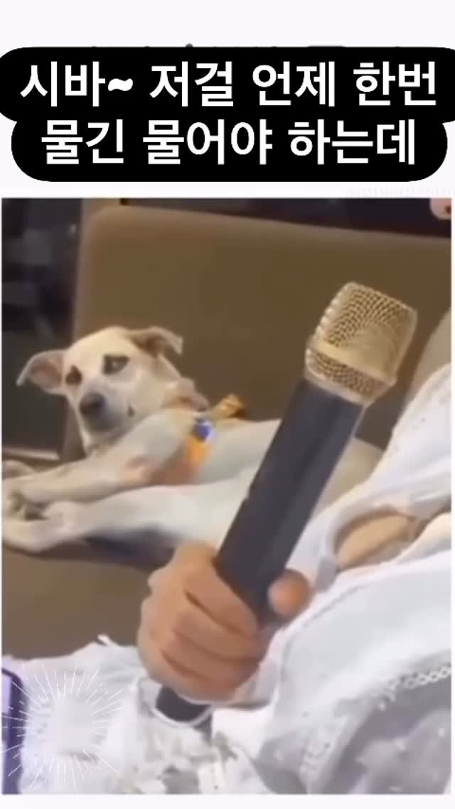 ttok_tv 게시물 이미지: 어휴 시바~ 내가 저거 언제 한번 물긴 물어야하는데 #ㅋㅋㅋ #웃긴짤 #유머...