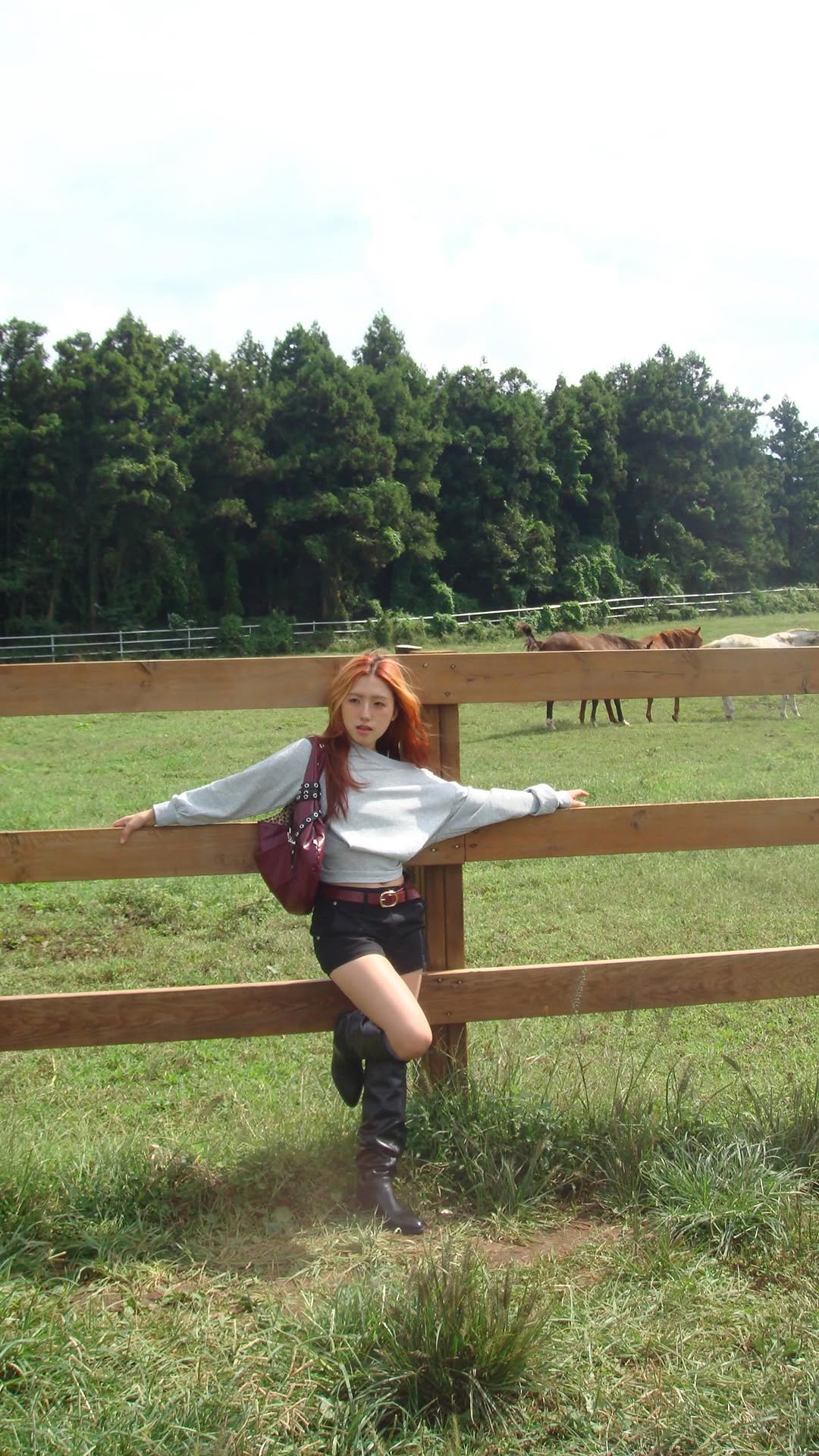 ttoking_today 게시물 이미지: 제주도 🐎🌊에 다녀옴!