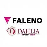 faleno_official2019 프로필 사진