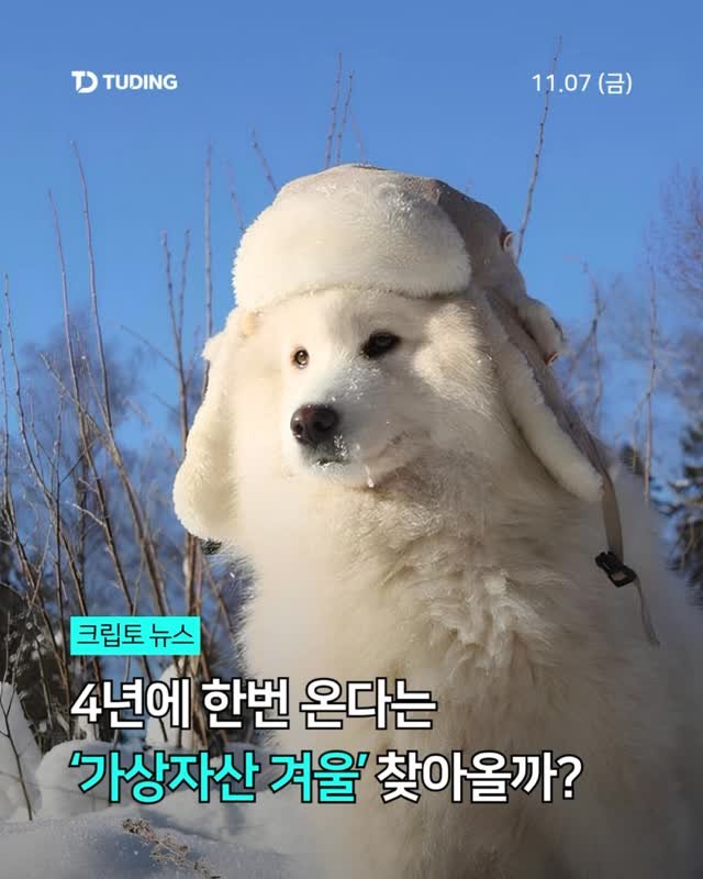 tuding_official 게시물 이미지: 📍4년에 한번 온다는 ‘가상자산 겨울’ 찾아올까?

가상자산 시장이 급격히 식으며...